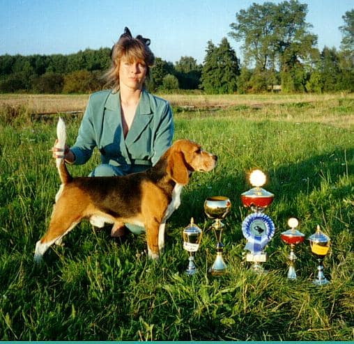 ICH. Budapest Beagle Bongo