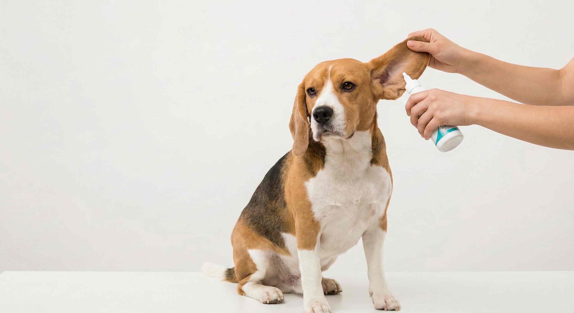 správny spôsob aplikácie čistiaceho prípravku do zvukovodu.