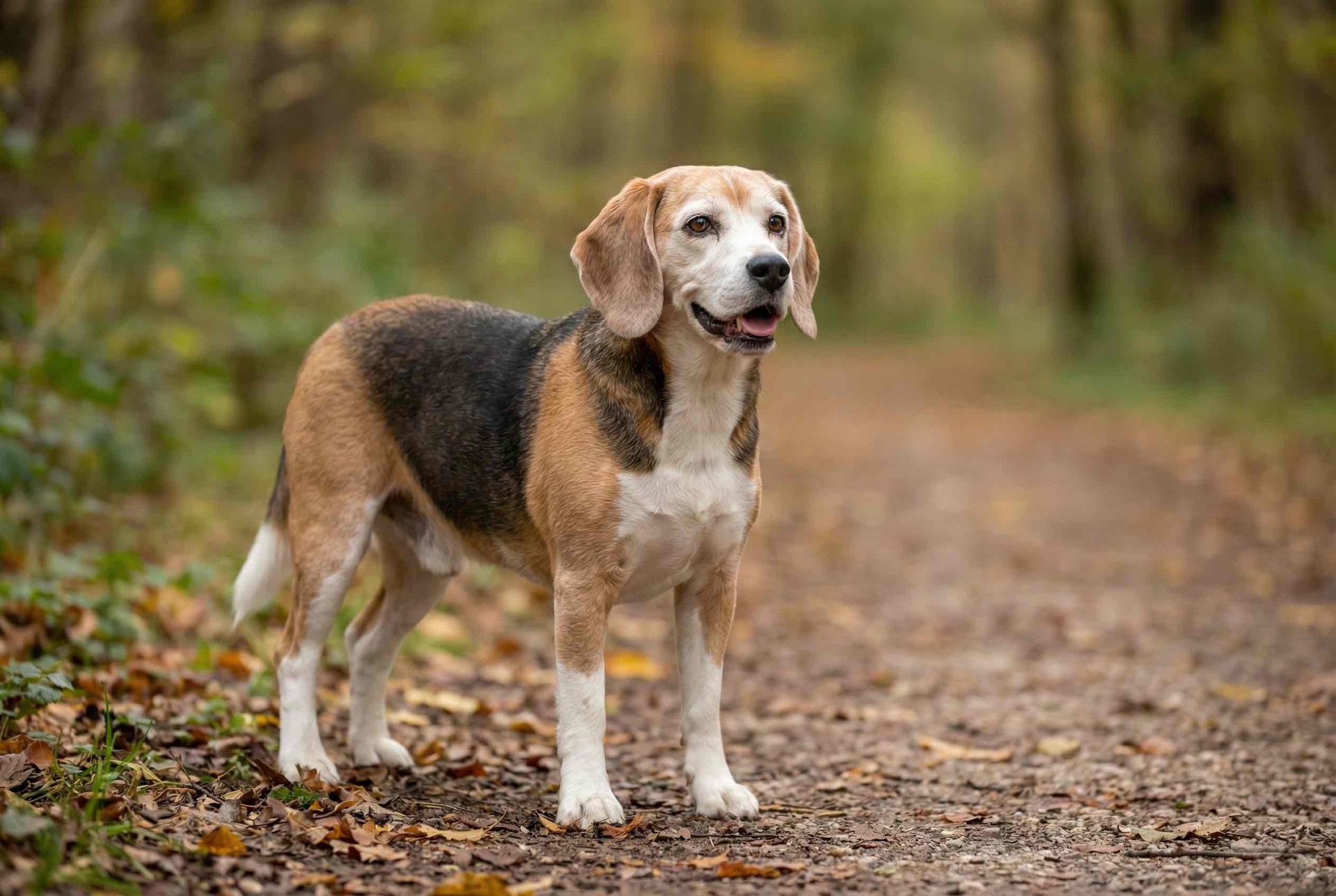 Fyzické zdravie - aktívny senior