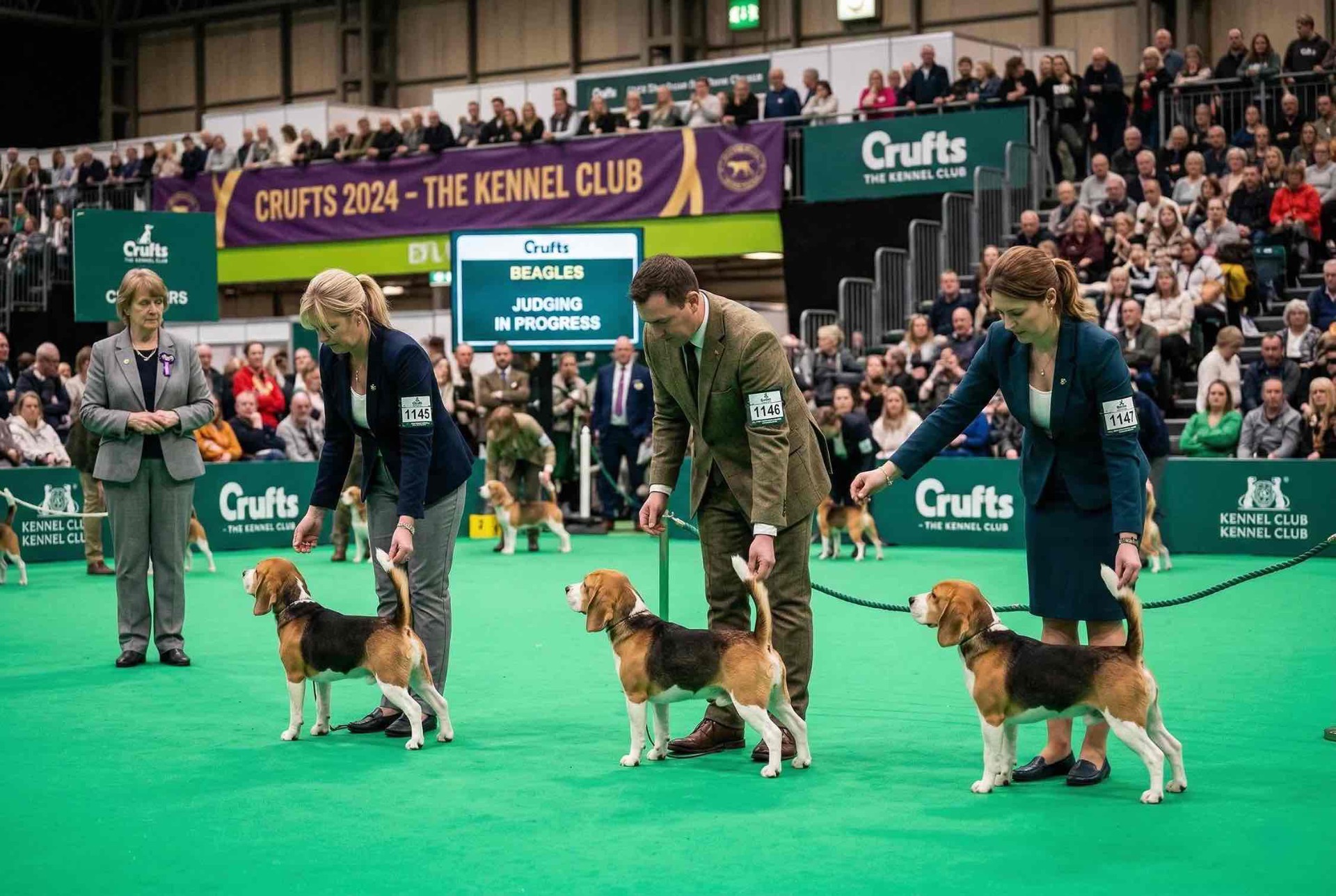 psy posudzované v rámci svojho plemena