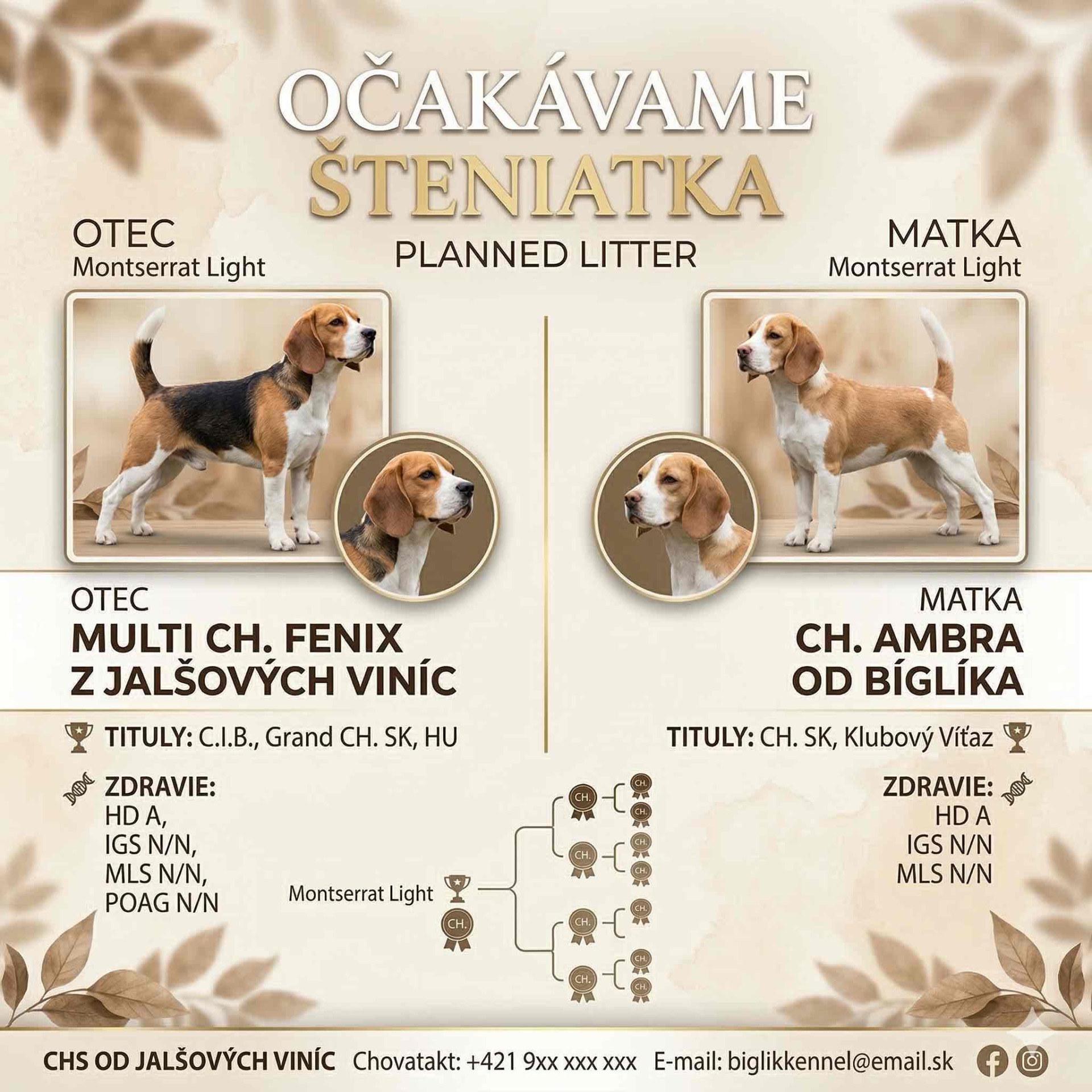 ilustračný plagátik - vzor