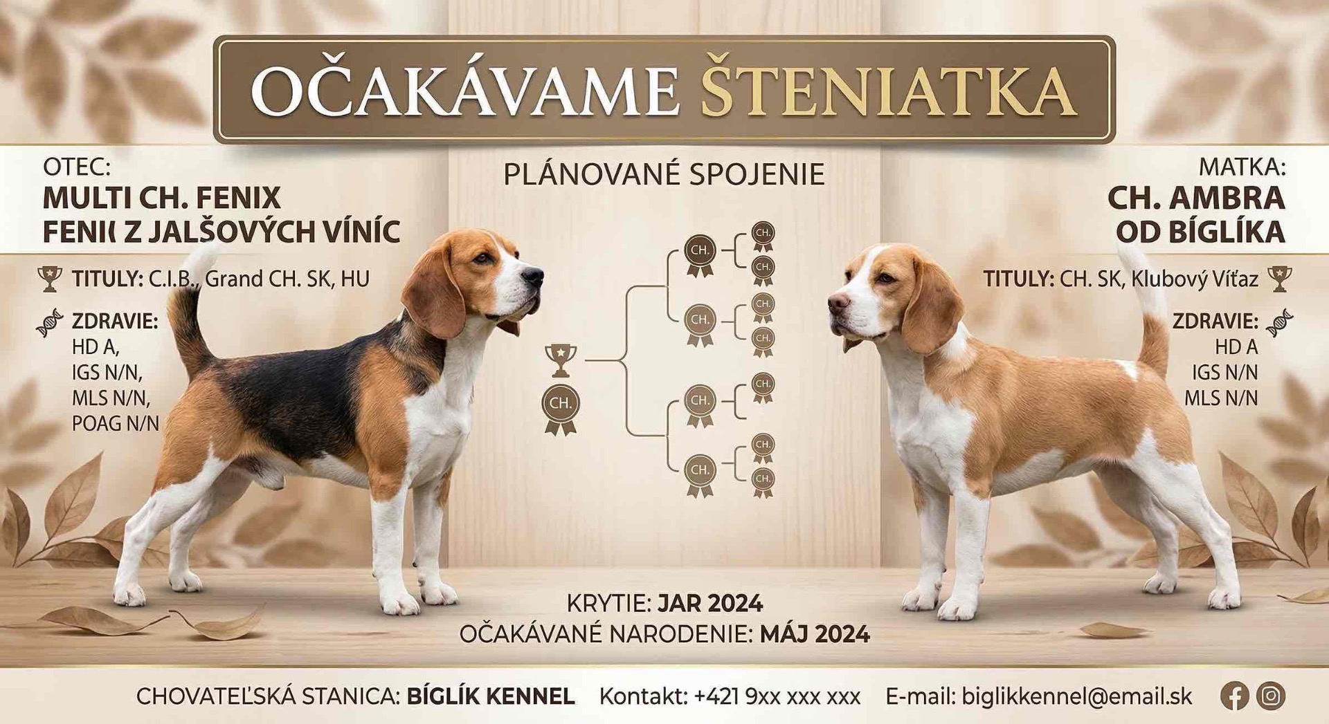 ilustračný plagátik - vzor