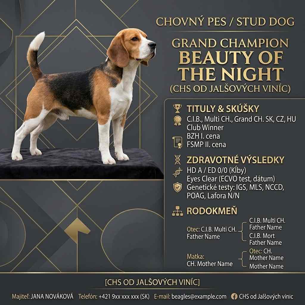 ilustračný plagátik - vzor