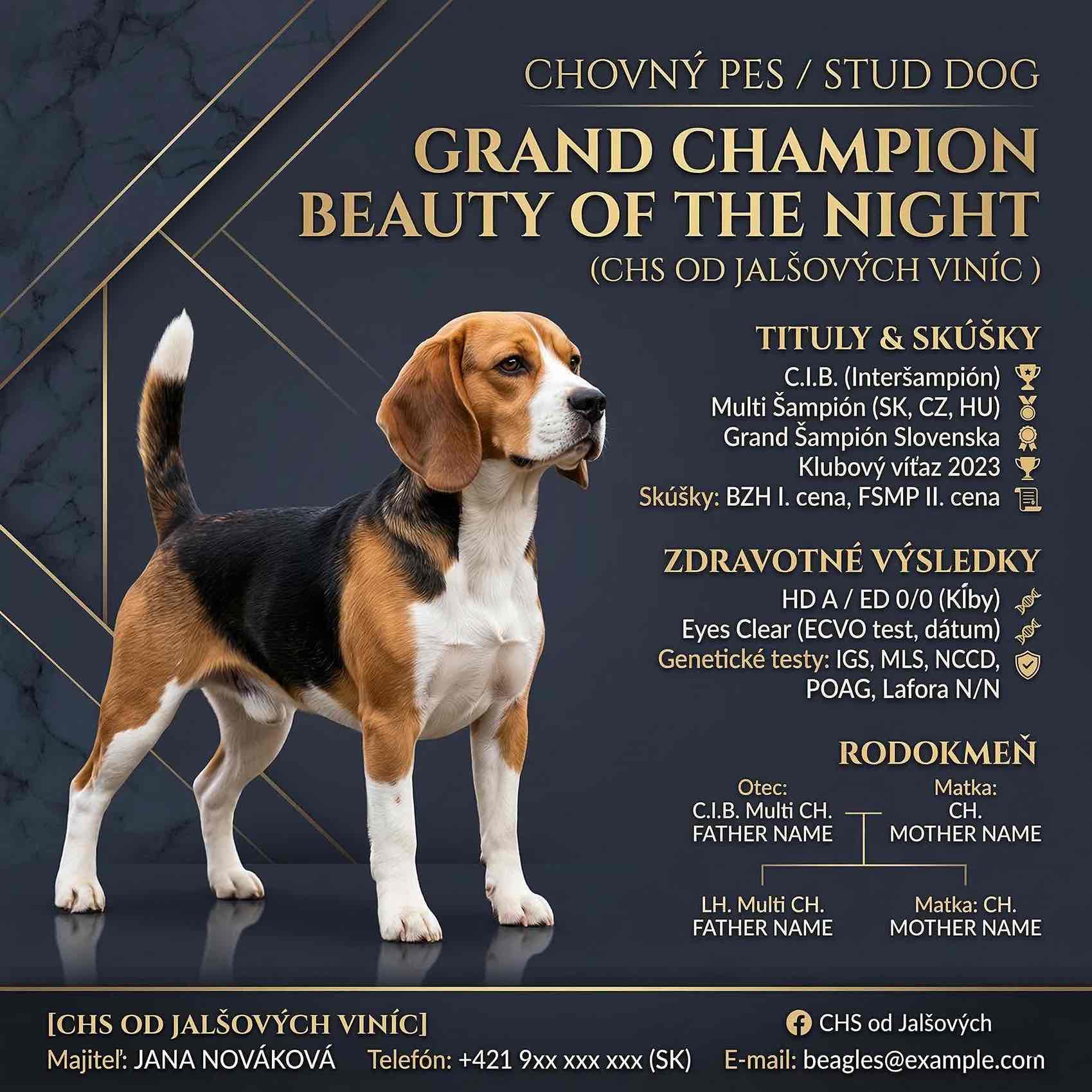 ilustračný plagátik - vzor