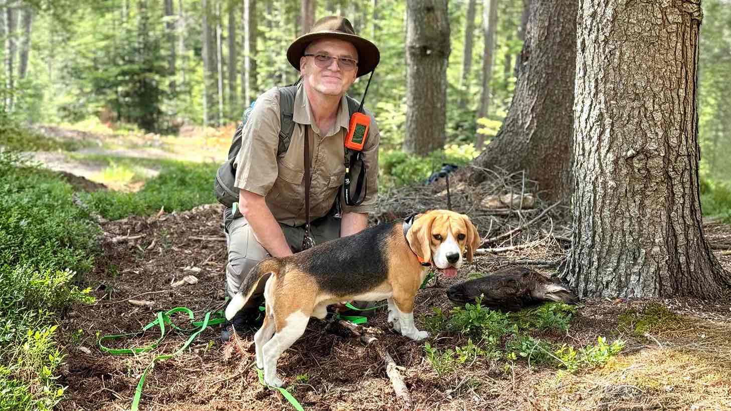 Milan so svojim bíglom na výcviku dosledu