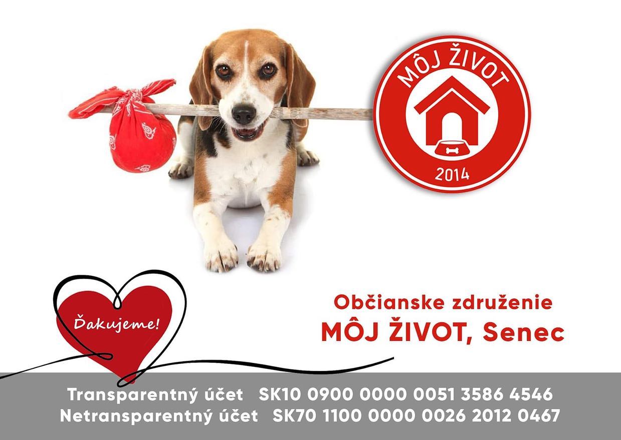 Pofidérne OZ Môj život