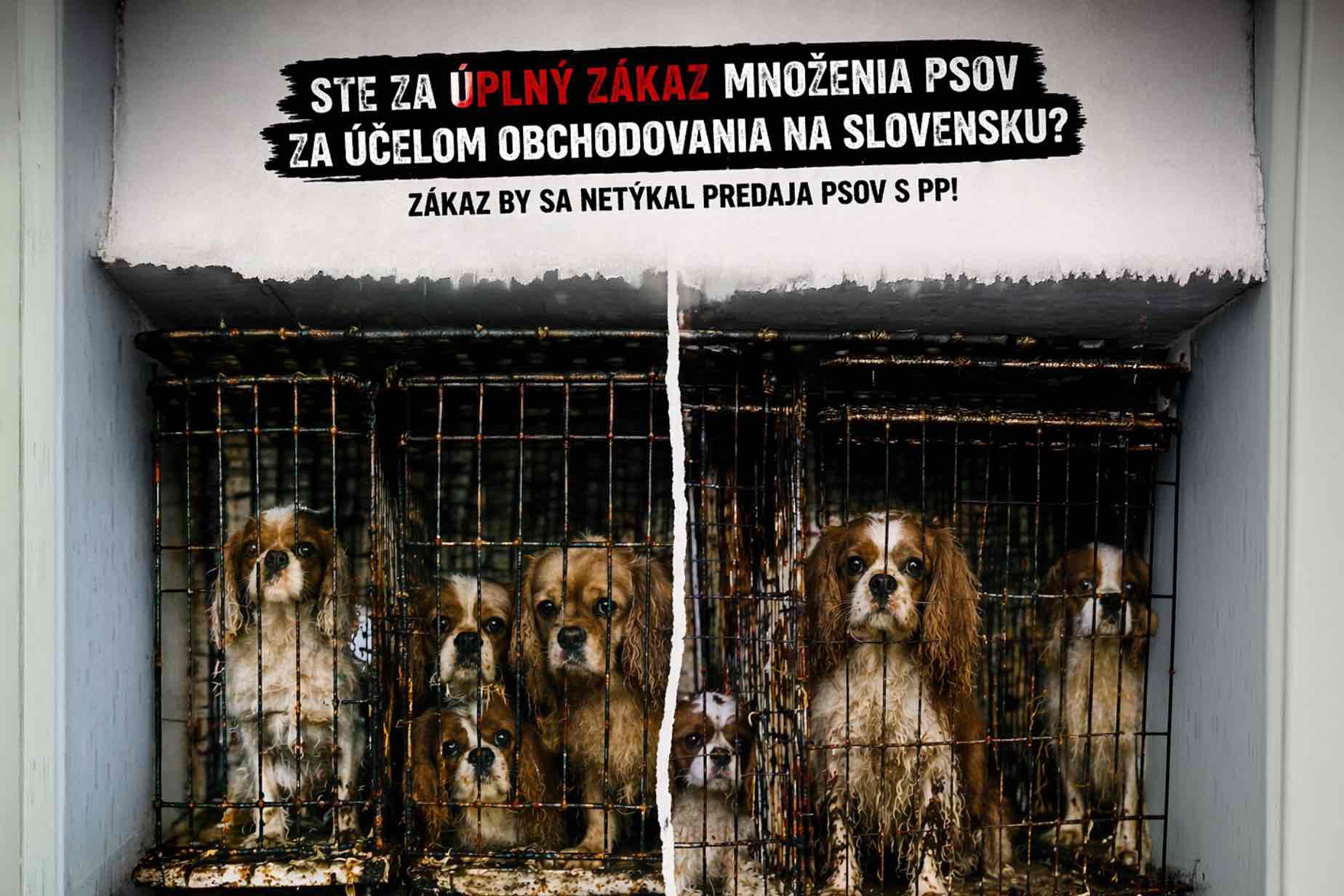 Úplný zákaz množenia psov za účelom obchodovania