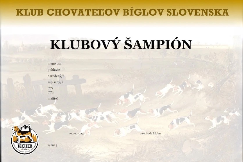 Klubový šampión - Diplom