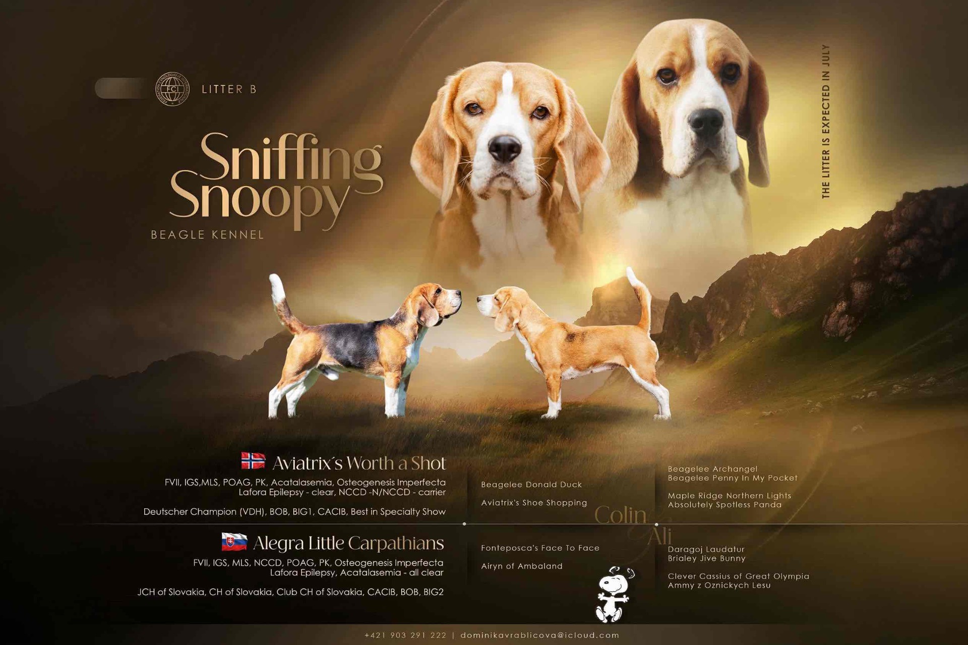 CHS Sniffing Snoopy očakáva šteniatka