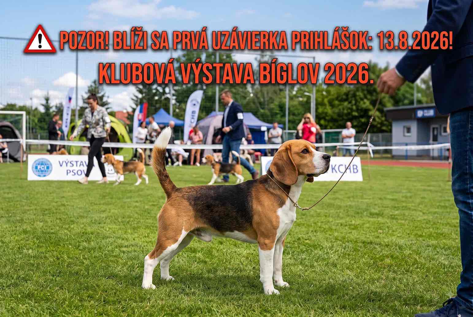 Klubová výstava bíglov 2026, prvá uzávierka 13.8.2026